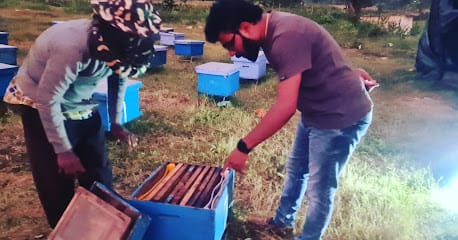 Prashanth Organics Honey and Bee Keeping business photograph