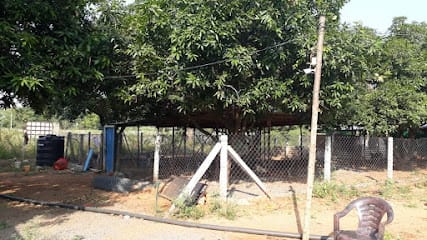 Neha Pet Boarding Pvt Ltd business photograph