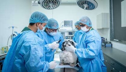 DCC Animal Hospital & Petcare business photograph