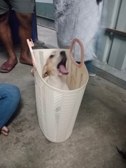 Ayudar NGO Clinic Durgapur business photograph