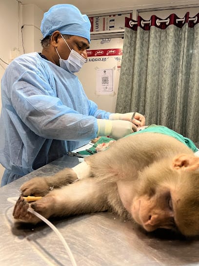 Pets & Pups Clinic business photograph