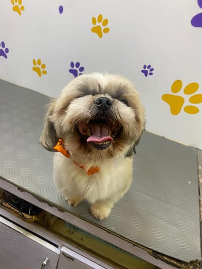 Snooping Tails ; Pet Grooming Mobile Van Services in Delhi business photograph