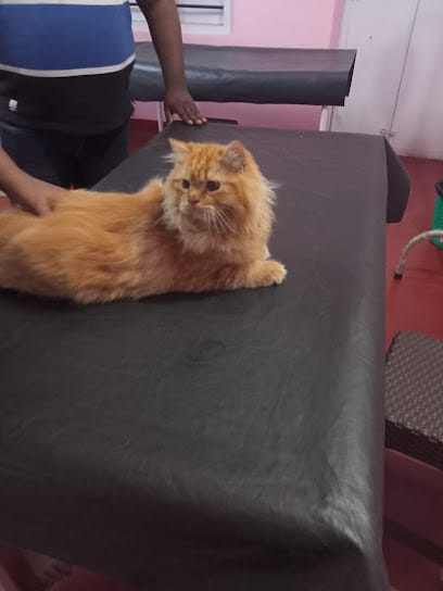 Dr Sabu's elcado pets and PET Clinic business photograph