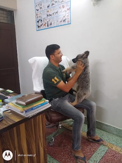 WELLNESS PET CLINIC business photograph