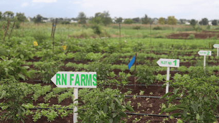 RN ORGANIC business photograph