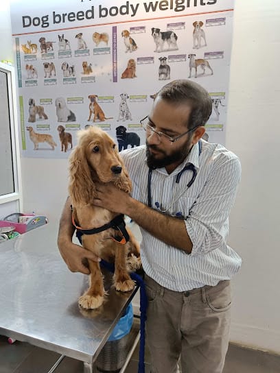 PAWSitive VETERINARY HOSPITAL business photograph