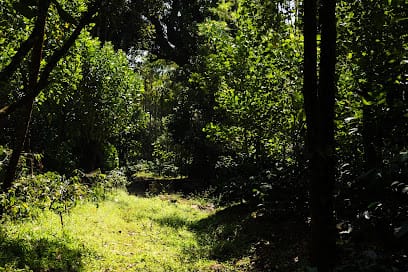 Coffee By The Stream business photograph