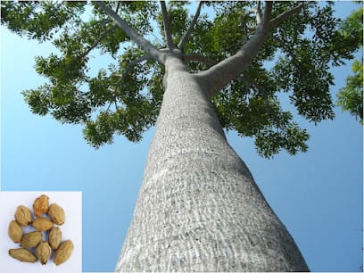 RK Nursery and Seeds business photograph