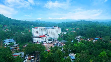 The Lifeline Multi Speciality Hospital (Kerala) business photograph