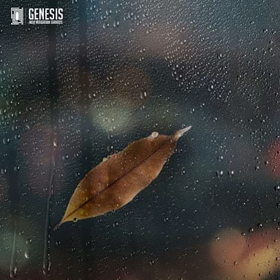 Genesis Risk Mitigation Services Private Limited business photograph