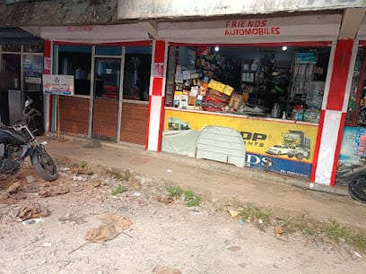 True Home Care Nursing business photograph