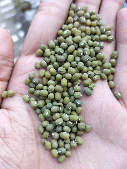 B R Trading business photograph