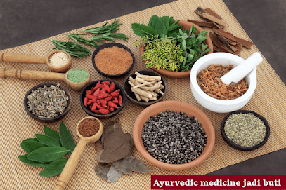 Rajasthan Home Health Care Services Jaipur business photograph