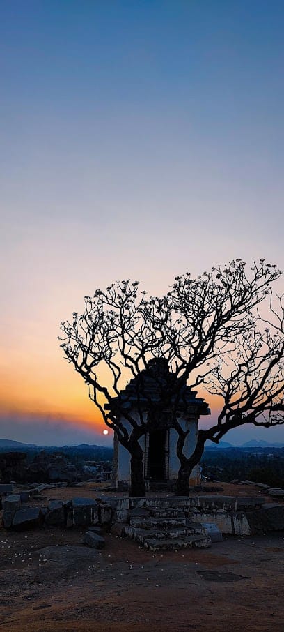 Swami hampi guide business photograph