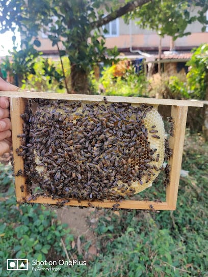 Sho"Bee" Nursery business photograph