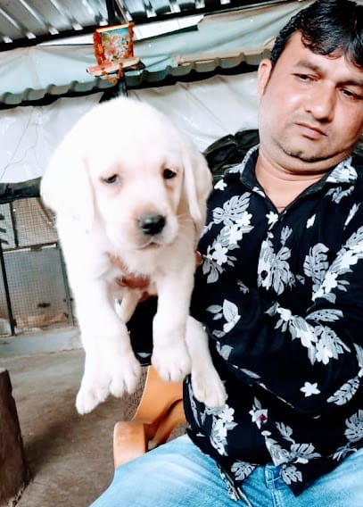 Prema Pet Shop business photograph