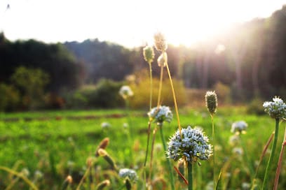 The Prodigal Farms business photograph