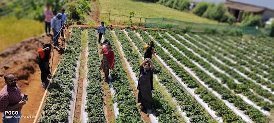 Muskan Garden business photograph