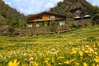 PeaceTrips business photograph