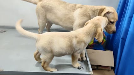 Farmacia Veterinary Clinic & Medicine Shop business photograph