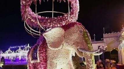 WEDDING DECOR BY TULIPS EVENT DELHI -BEST WEDDING DECORATOR IN DELHI NCR|BEST TENT HOUSE IN DELHI| business photograph