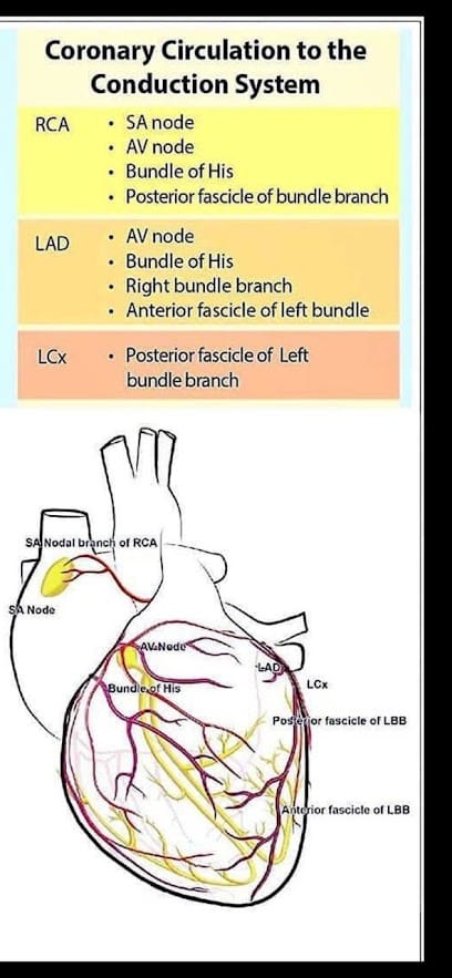 Manoj Yadav Home Health Care Service business photograph