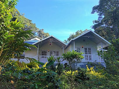 Rainforest Munnar Resort business photograph