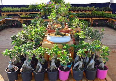 organicwala business photograph