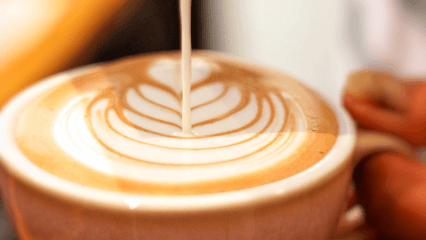 Minimal Coffee Roasters business photograph