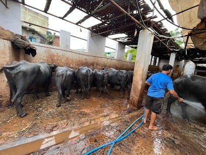 Anil Yadav Milk Dairy business photograph