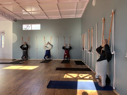 Manali Yogashala business photograph