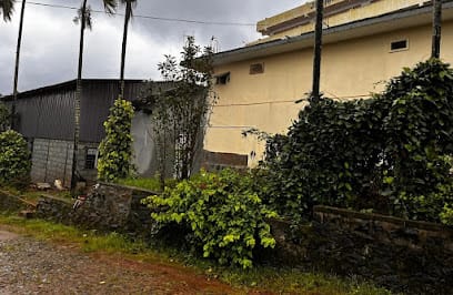 Tropihill Coffee manufacturing unit business photograph