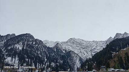 Travel beast business photograph