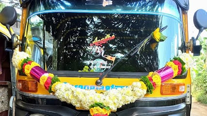 Ravi Singh Hampi Auto Service business photograph