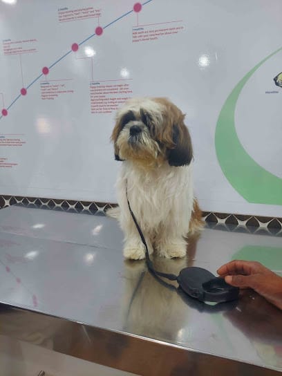 Dr.Aher's Pet Care Center business photograph