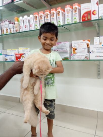 Vinshi Elite Pet Clinic Guntur business photograph