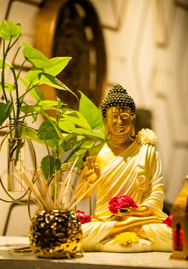 Tourists Wellness Thai Spa - Best Spa in Vizag business photograph