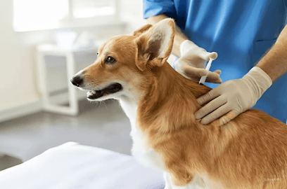 Dr Satyendra | At Home Veterinary Services | Vaccination, Treatment & Emergency Care business photograph