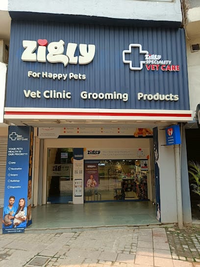 Zigly - Pet Clinic, Pet Grooming & Pet Products | Basant Lok business photograph
