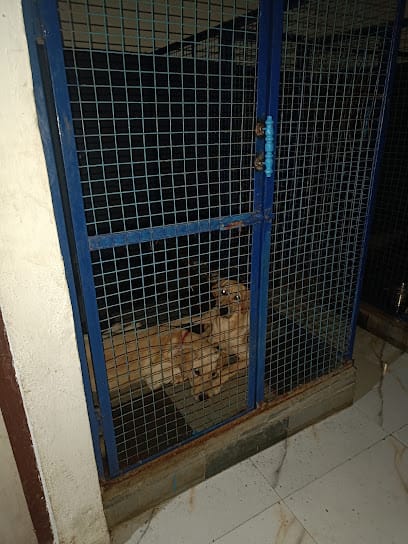 Petzpawsitive business photograph