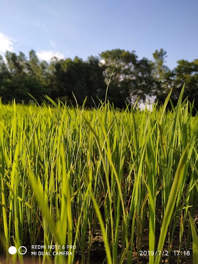 Rajesh Beej Bhandar business photograph