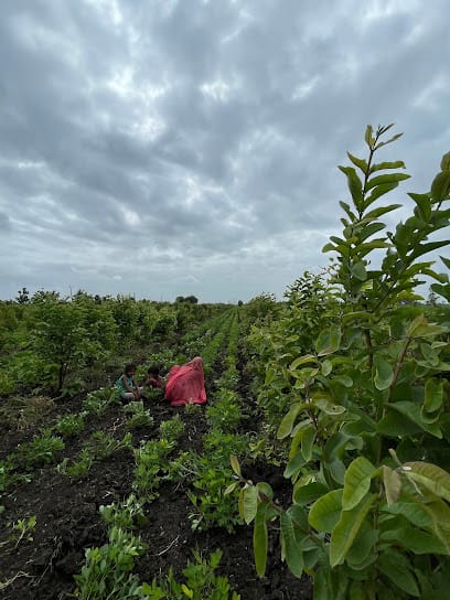 Viant Organics Private Limited business photograph