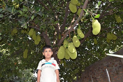 Shivashray Organic Krishi Farm House and Farm Stay business photograph