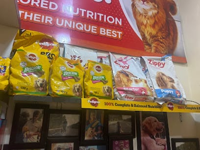 CITY PET STORE business photograph