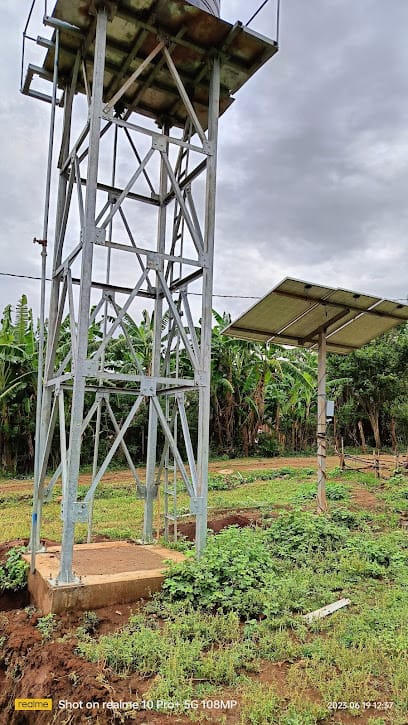 dd service business photograph