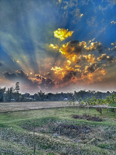 Pure Drive Car Travel Agency Dibrugarh business photograph