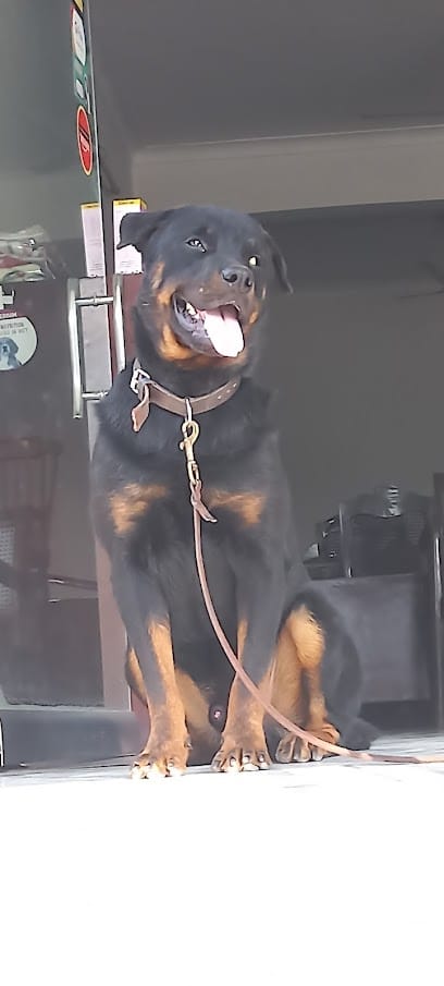 Nova Pet Health Care Clinic business photograph