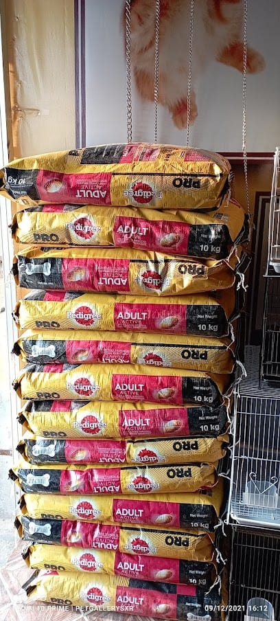 Pet Gallerysxr business photograph