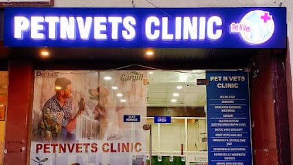 Petnvets vet clinic business photograph