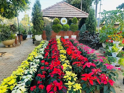 Greenways Nursery, Delhi business photograph